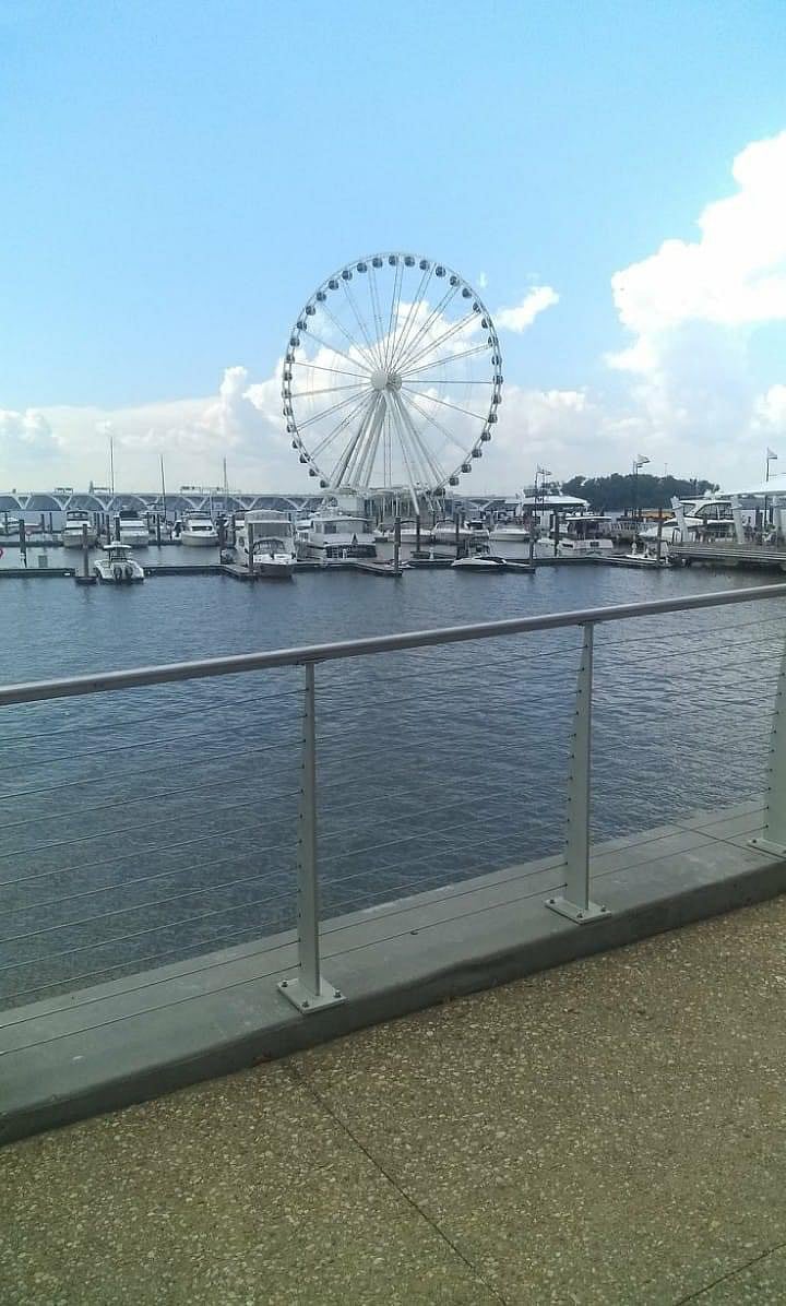 Furnished Finder property 536925_1 photo 12