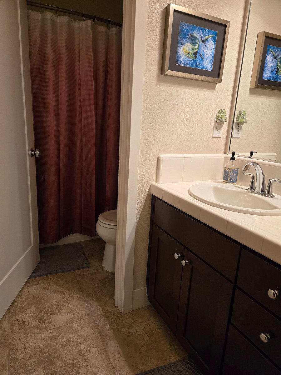 Furnished Finder property 536972_1 photo 9