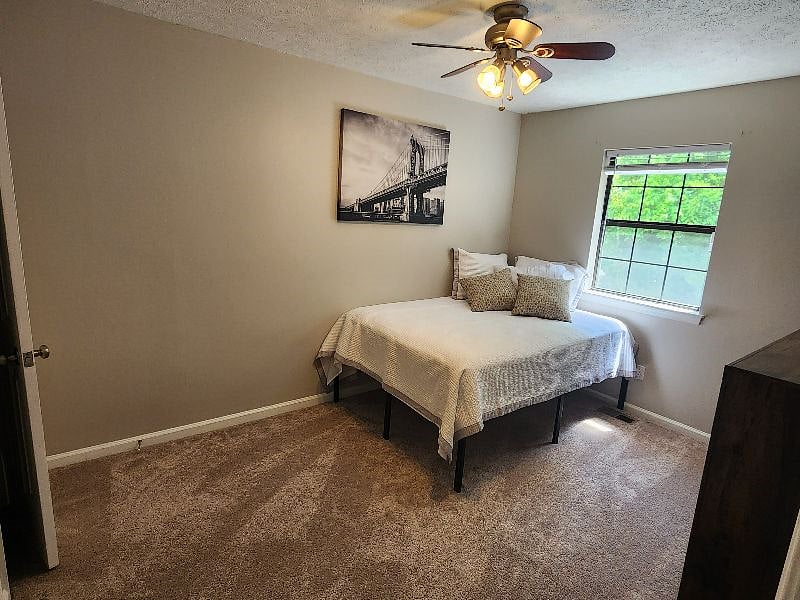 Furnished Finder property 537144_1 photo 29