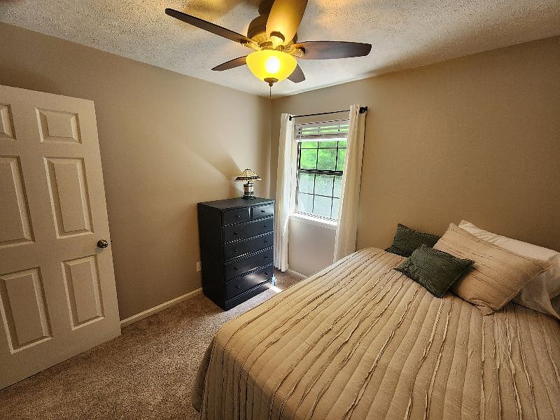 Furnished Finder property 537144_1 photo 33