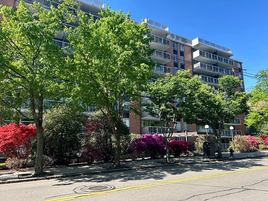 Longwood Ave, Brookline