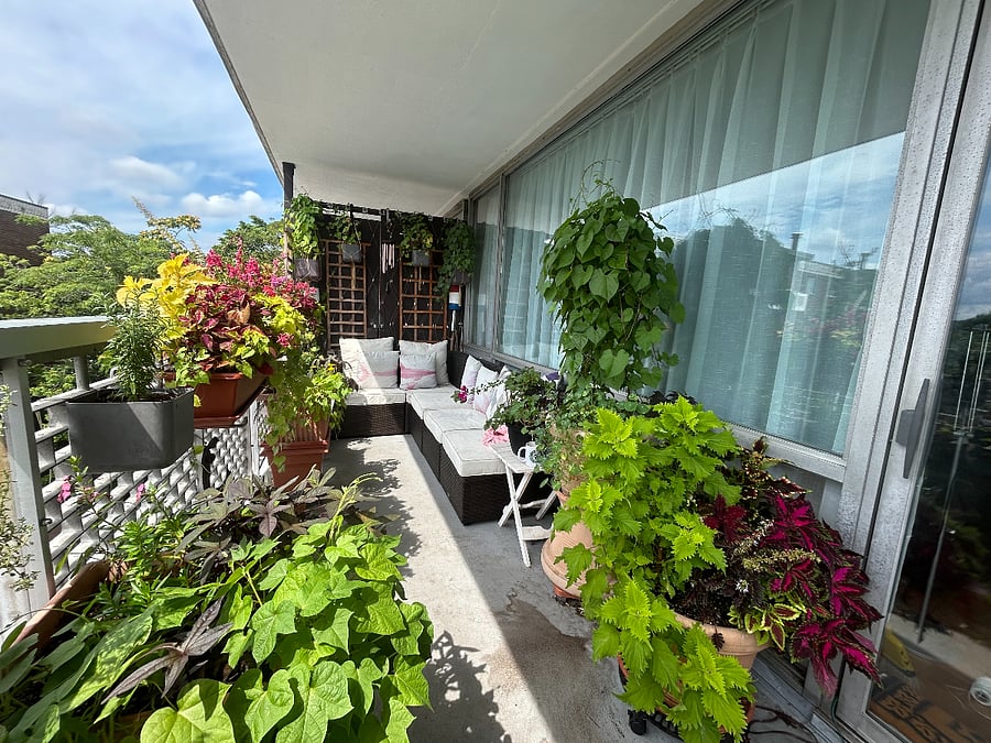 Furnished Finder property 537164_1 photo 25