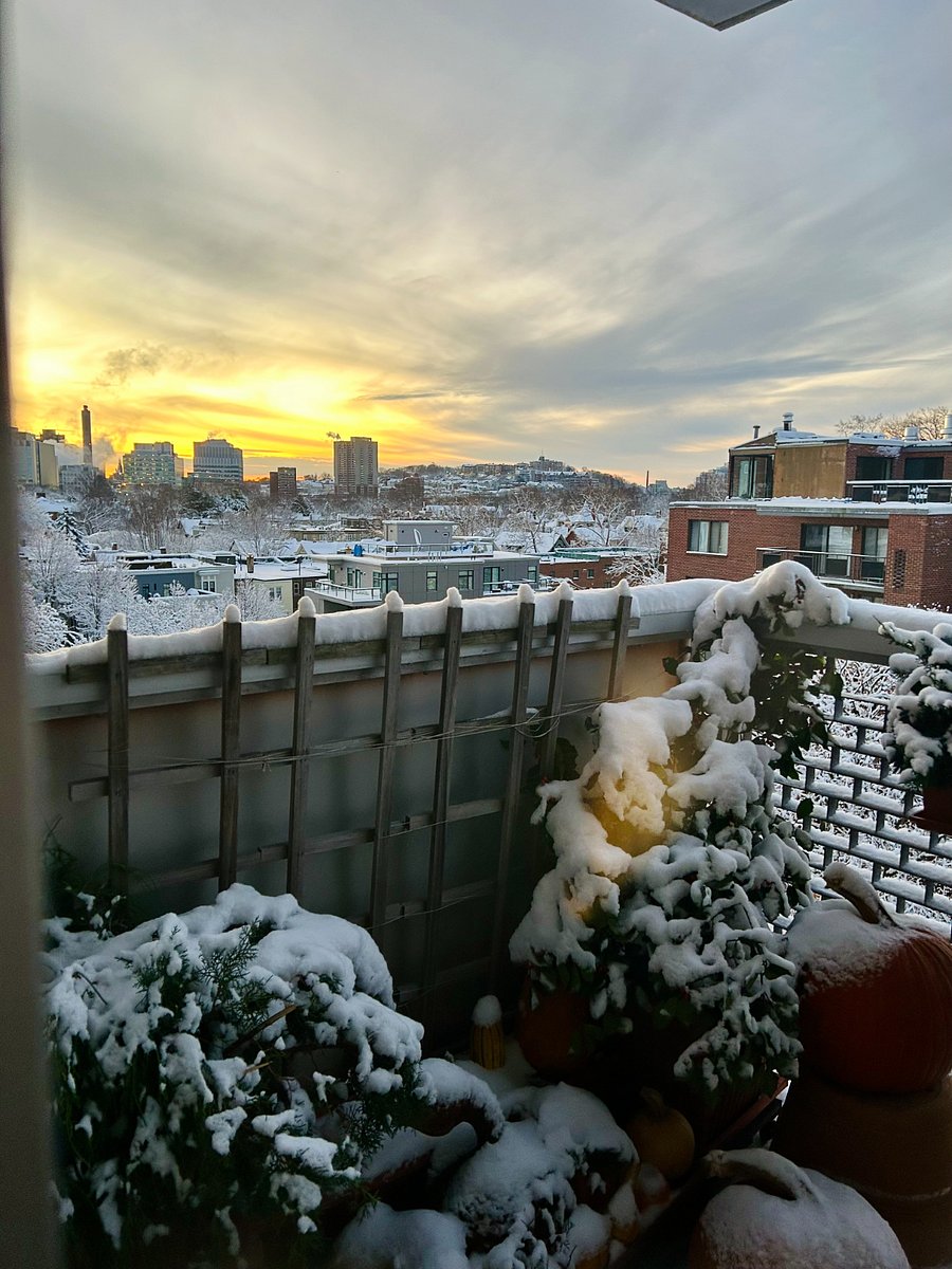 View of Longwood Medical Area & Mission Hill