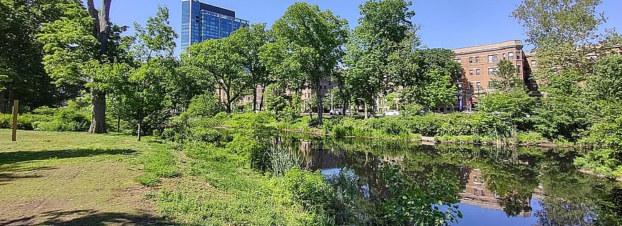 Longwood Medical Area