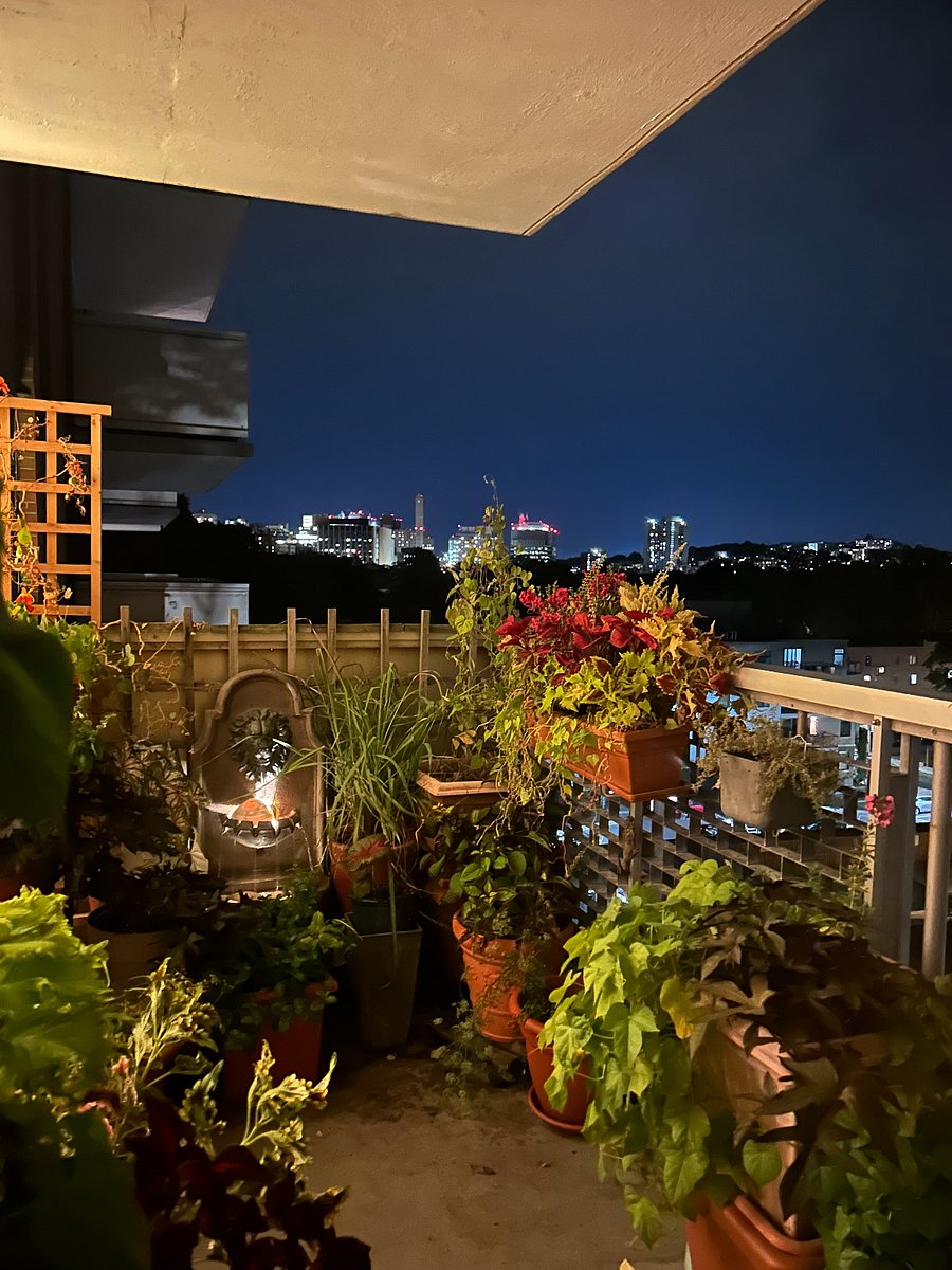 View of Longwood Medical from Patio