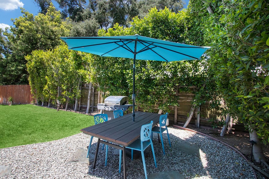 Backyard: privacy trees, patio table and umbrella, BBQ grill.