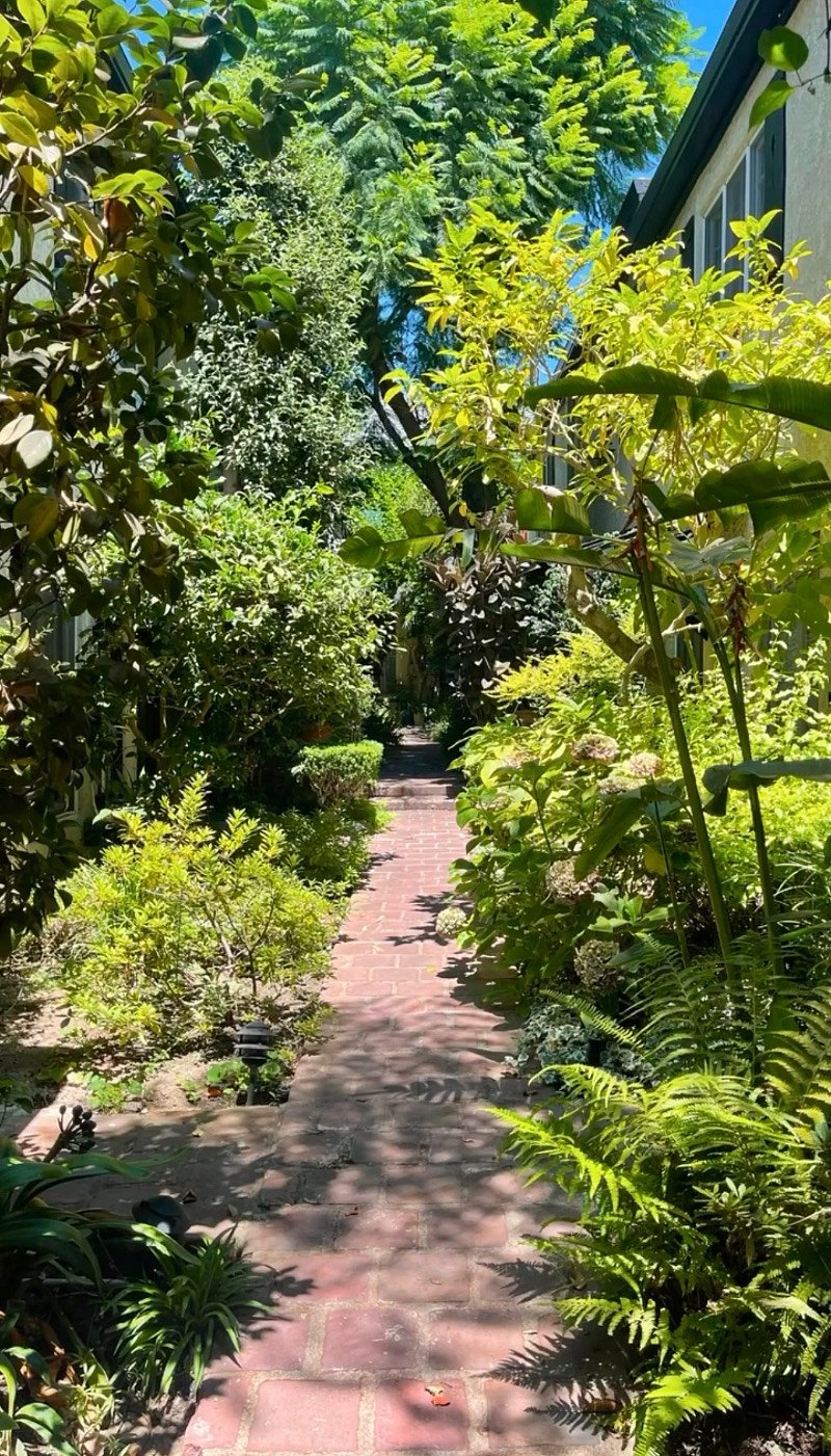 Lush Garden Entrance
