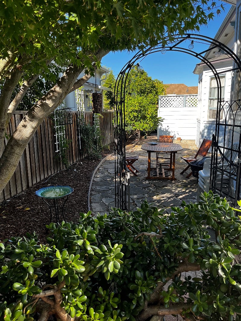 backyard