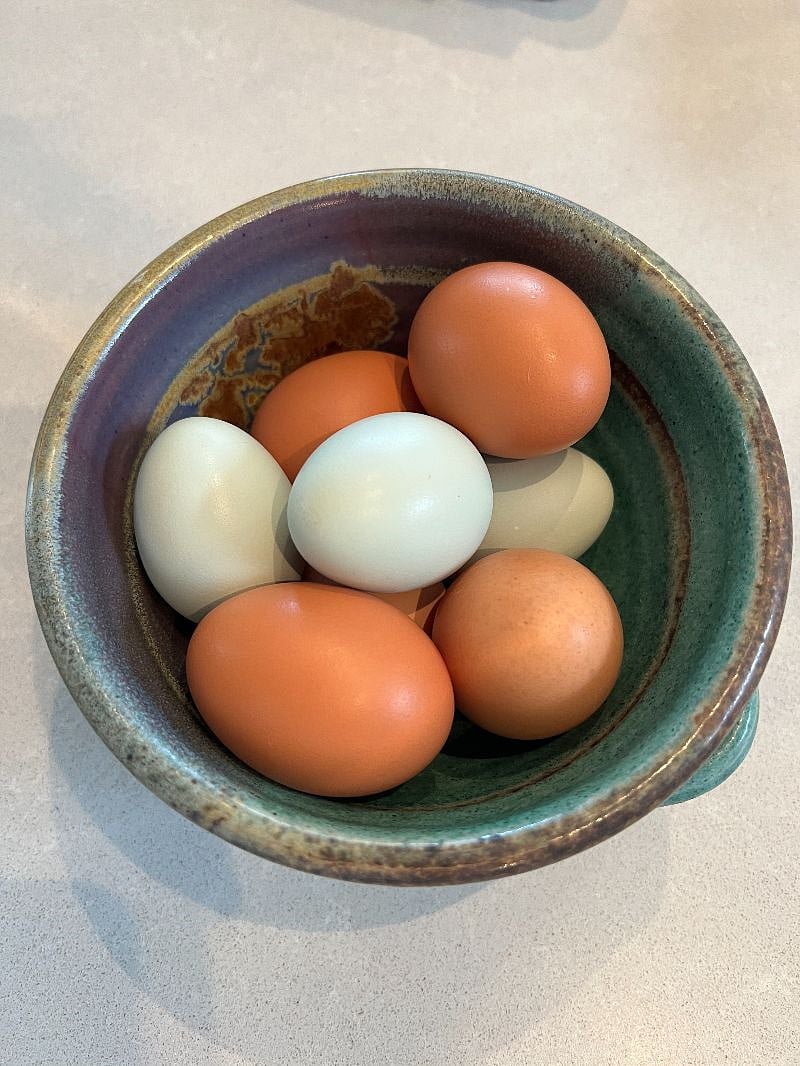 Farm fresh eggs daily courtesy of our 9 hens.