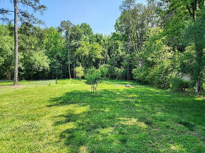 Furnished Finder property 537427_1 photo 12