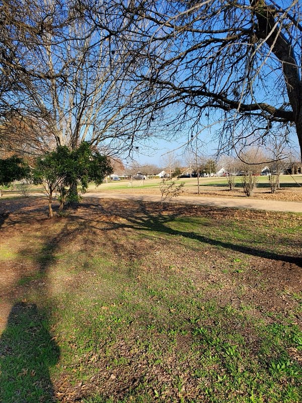 Furnished Finder property 537673_1 photo 29