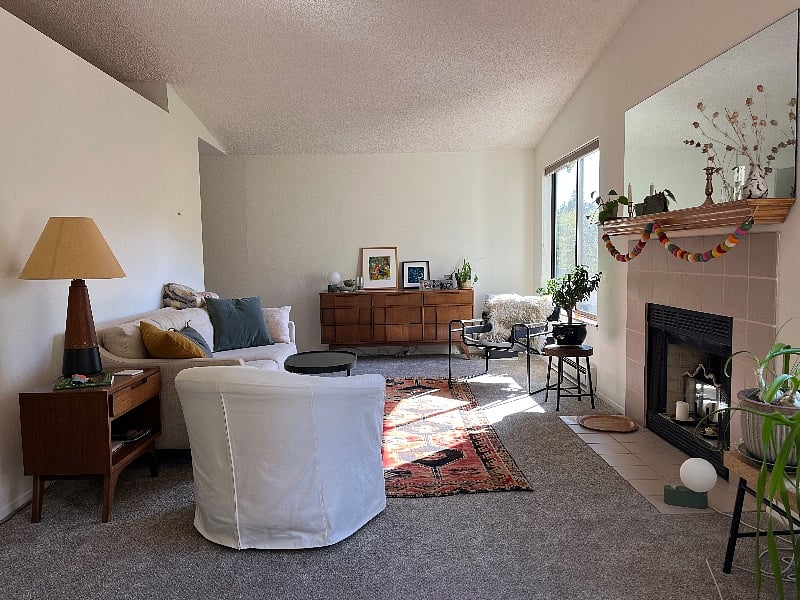 Shared space: living room