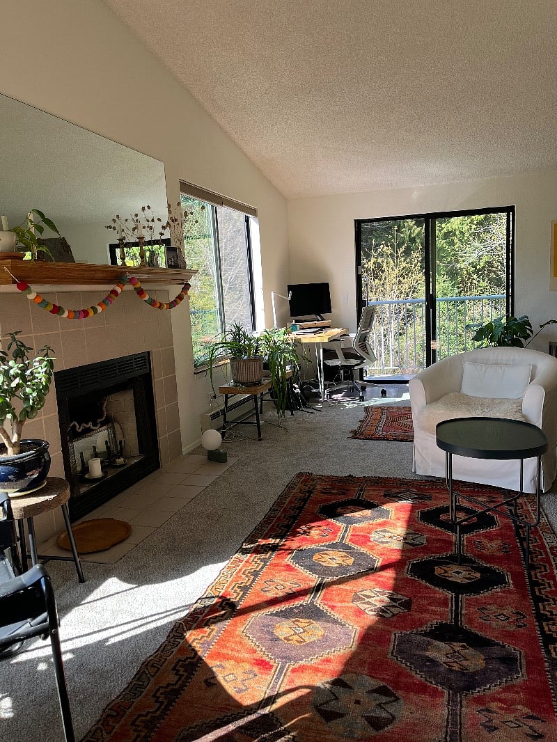 Shared space: living room