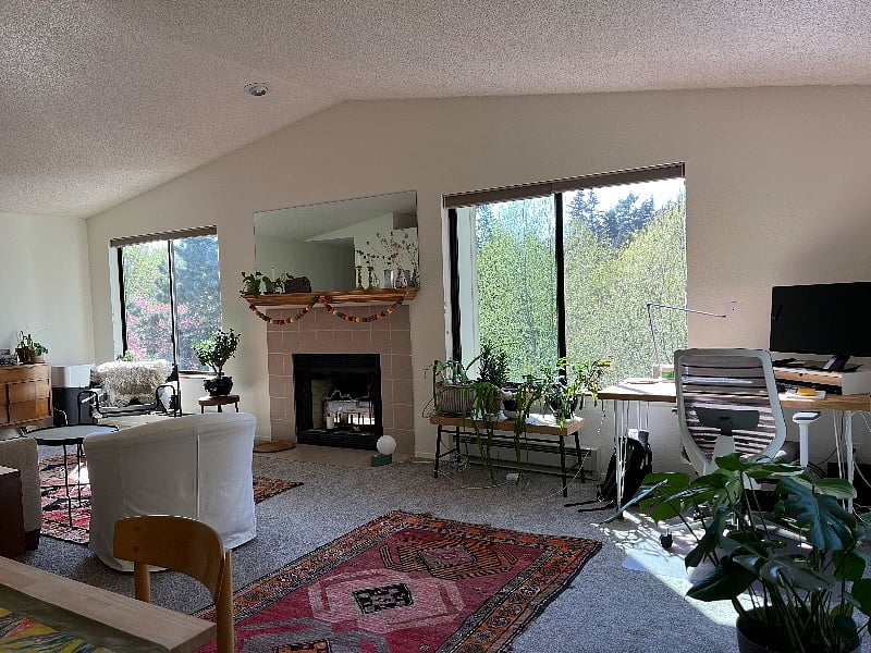 Shared space: living/dining room