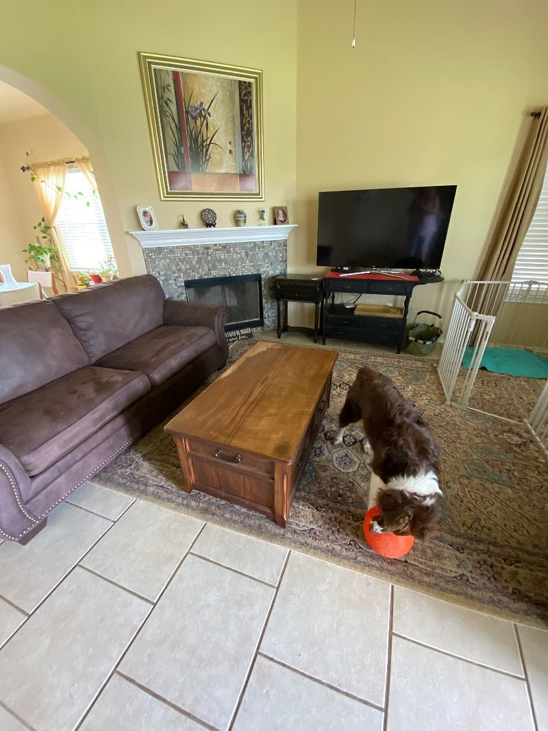 Furnished Finder property 538002_1 photo 4