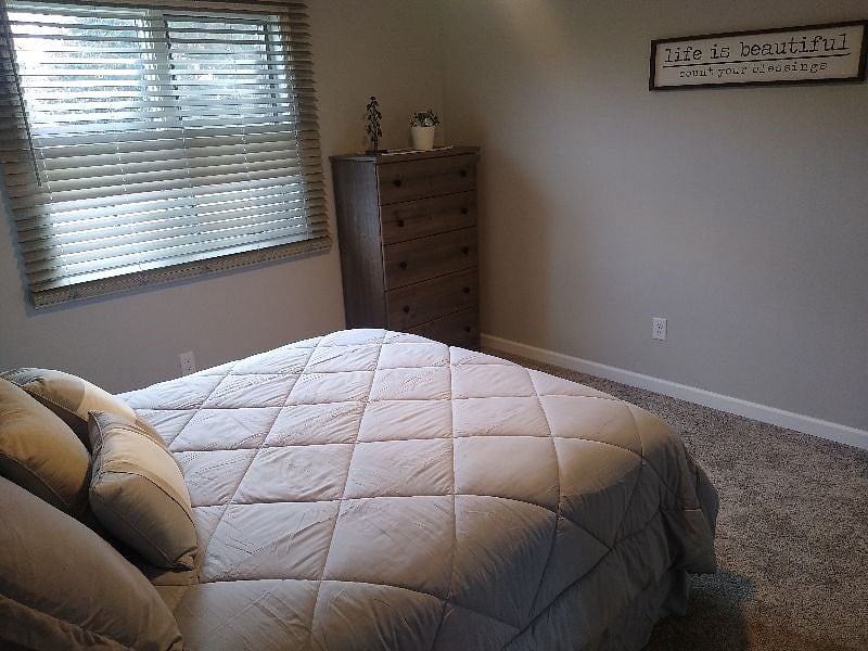 Furnished Finder property 538017_2 photo 17