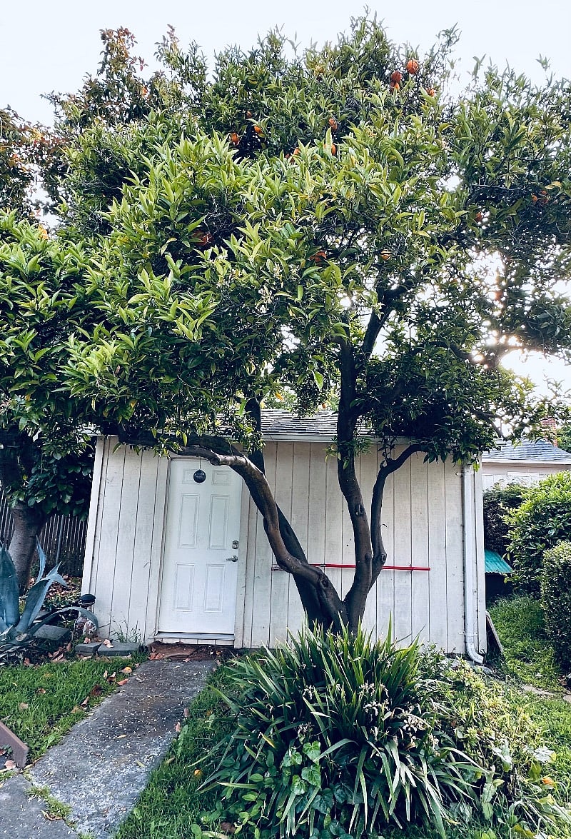 Furnished Finder property 538217_1 photo 11
