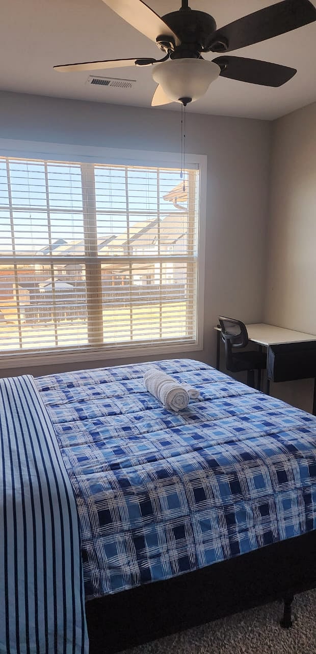 Furnished Finder property 538290_2 photo 11