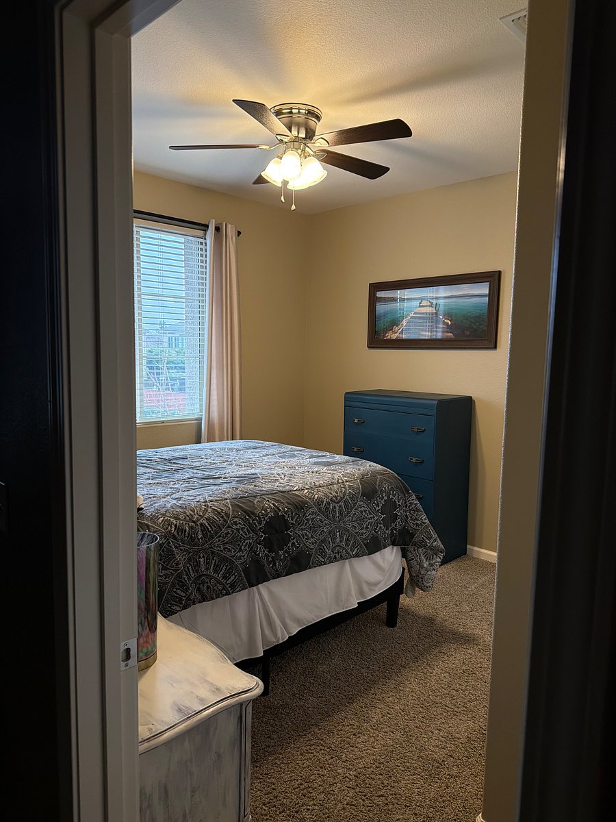Furnished Finder property 538387_1 photo 14