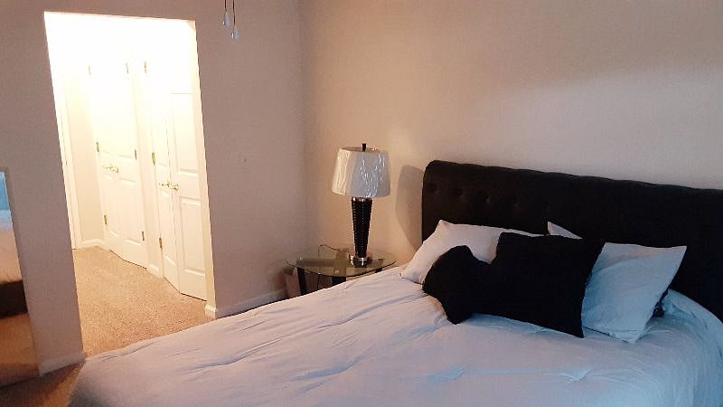 Furnished Finder property 538442_1 photo 8