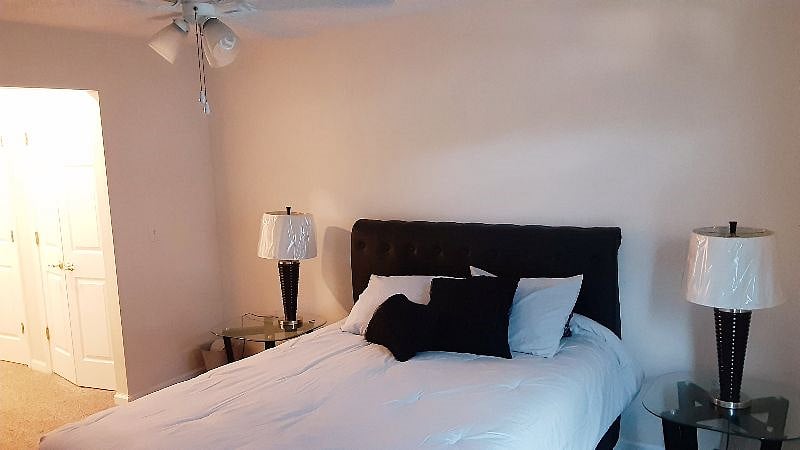Furnished Finder property 538442_1 photo 10