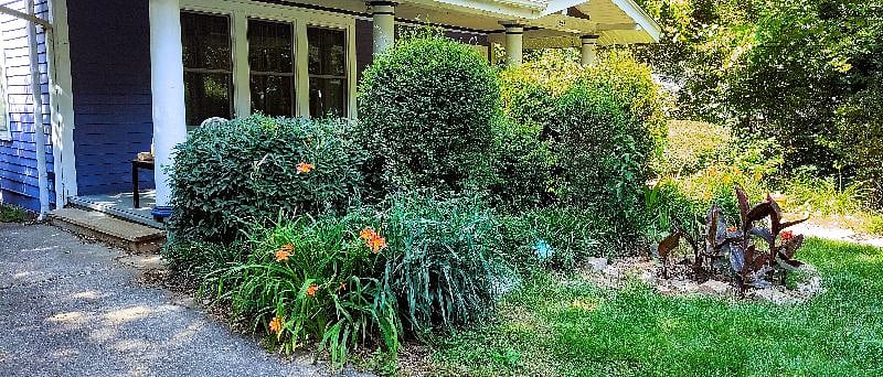 Front lawn