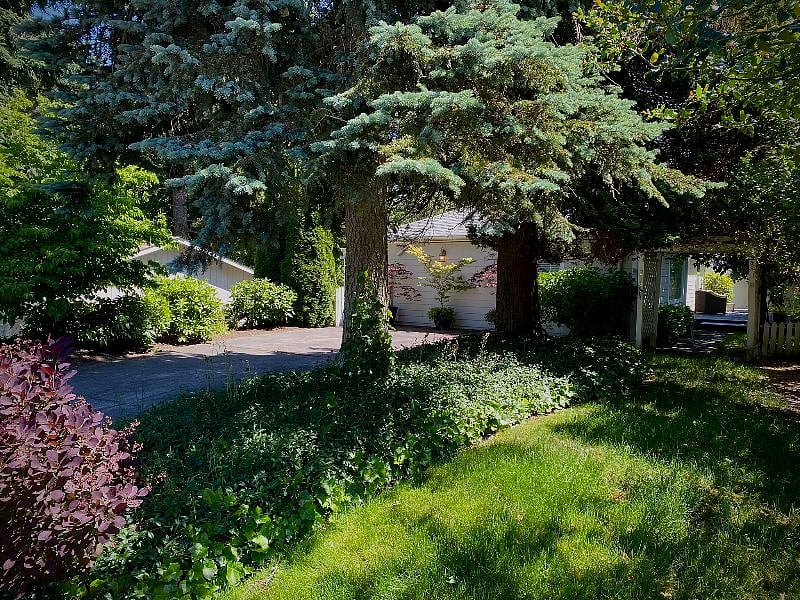 Furnished Finder property 538653_1 photo 26