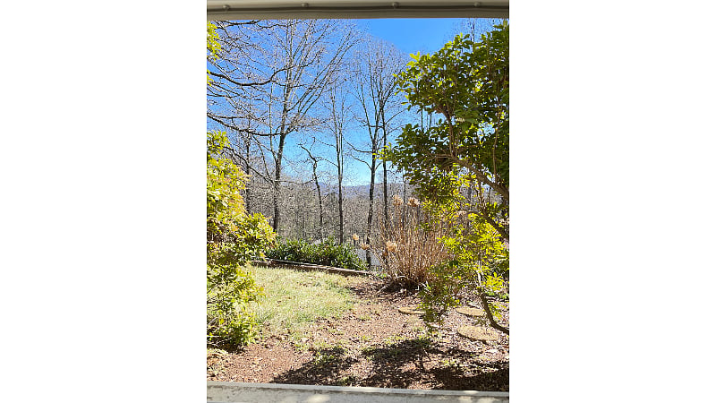 View from private studio.