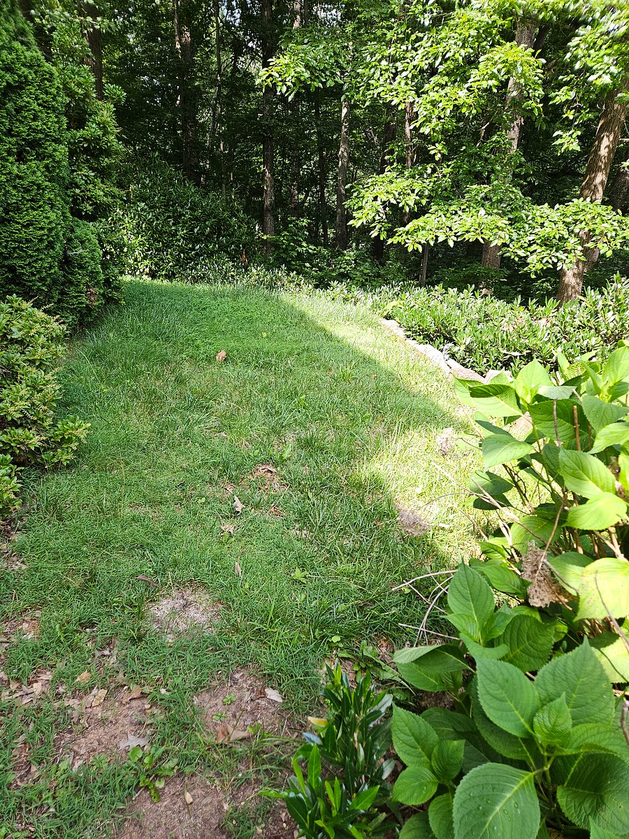 Grassy area for the pup in front of exterior seating pictured.