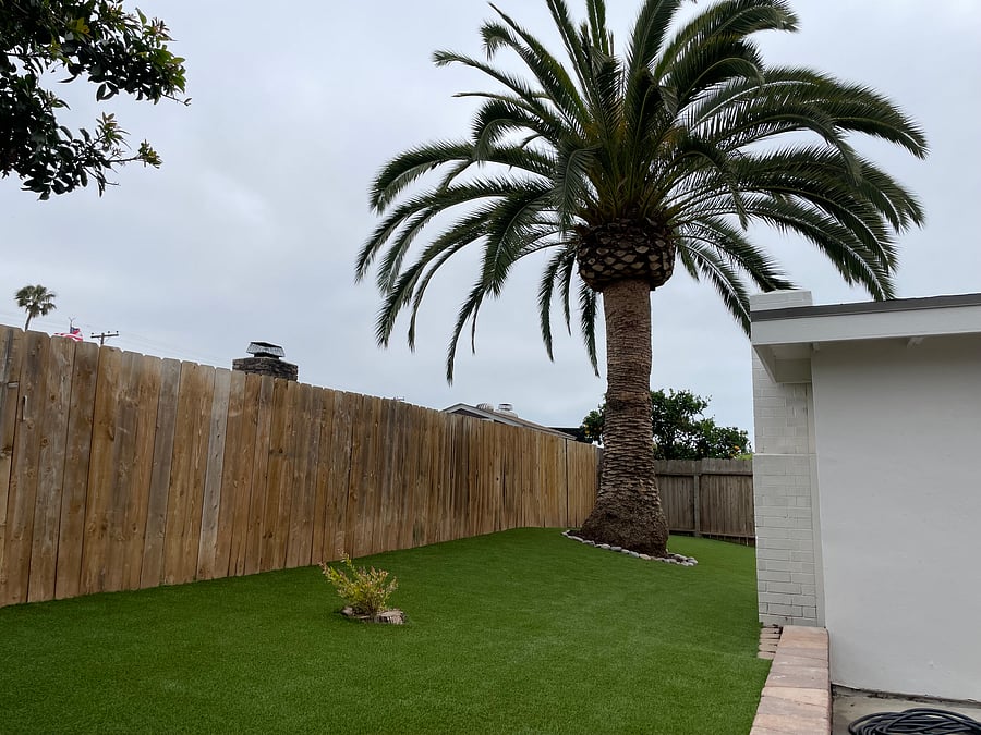 Furnished Finder property 538719_2 photo 16