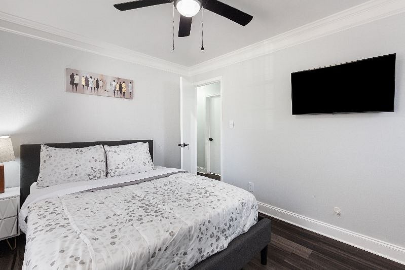 Furnished Finder property 538749_1 photo 20