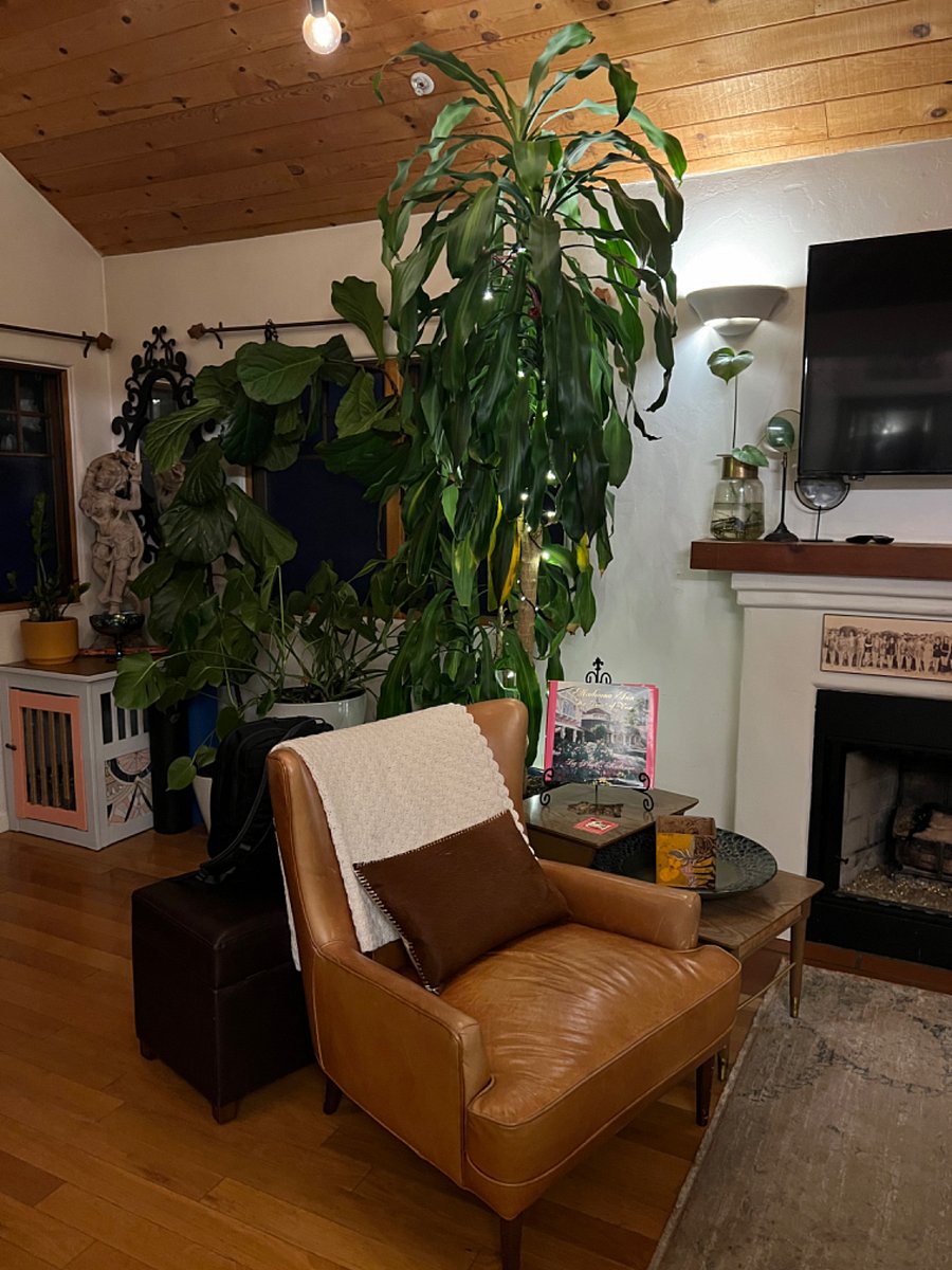 Furnished Finder property 538911_1 photo 26