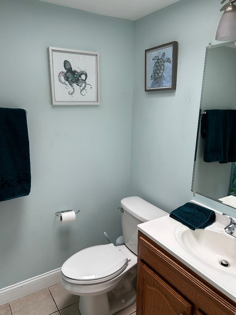 Furnished Finder property 539012_1 photo 10