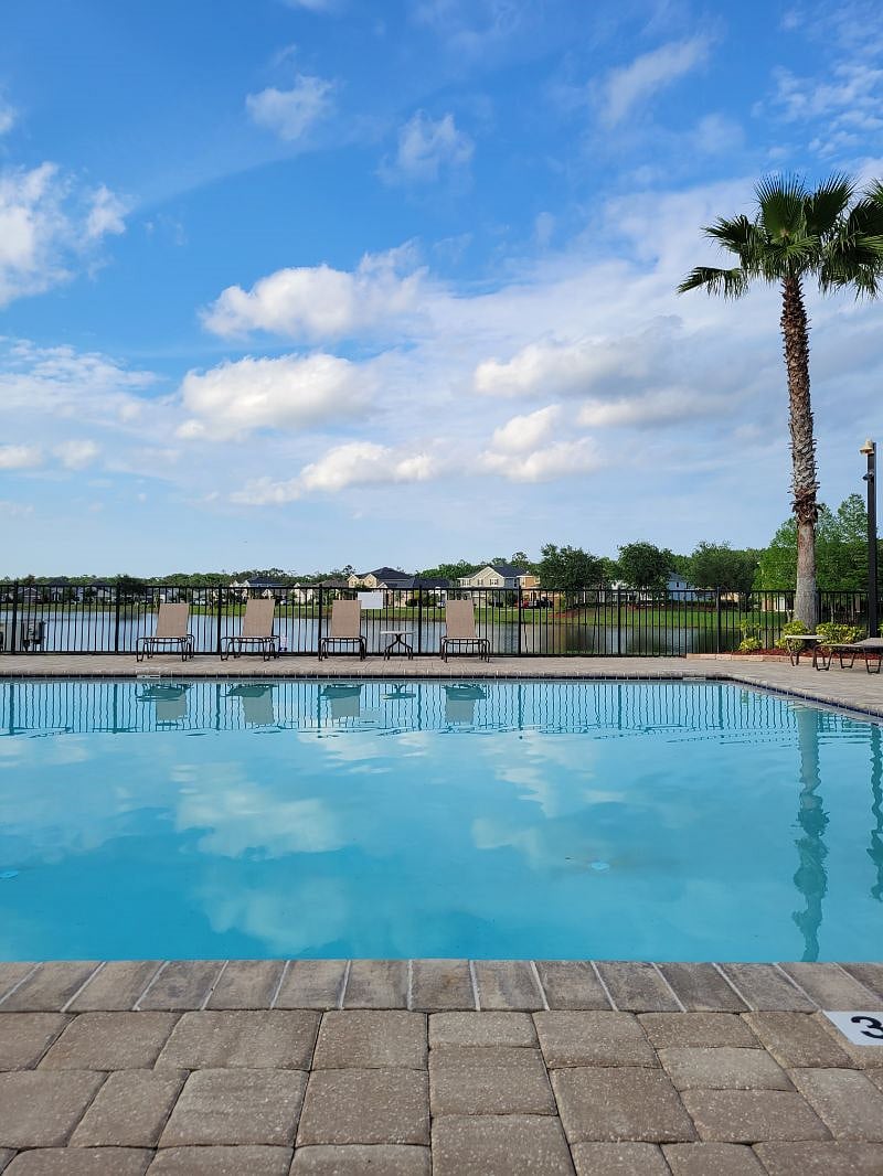 Furnished Finder property 539133_1 photo 12