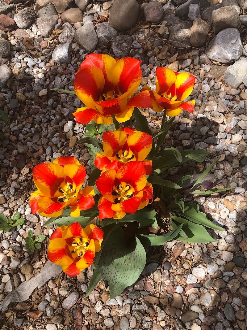 Furnished Finder property 539193_1 photo 3