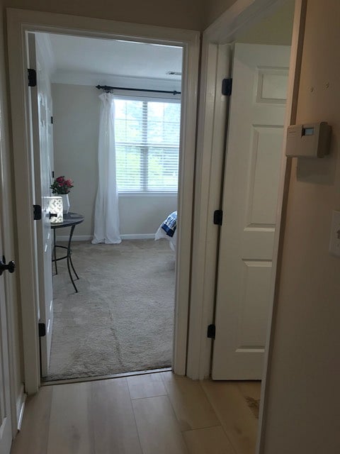 Private Hall to Bath & Bedroom
