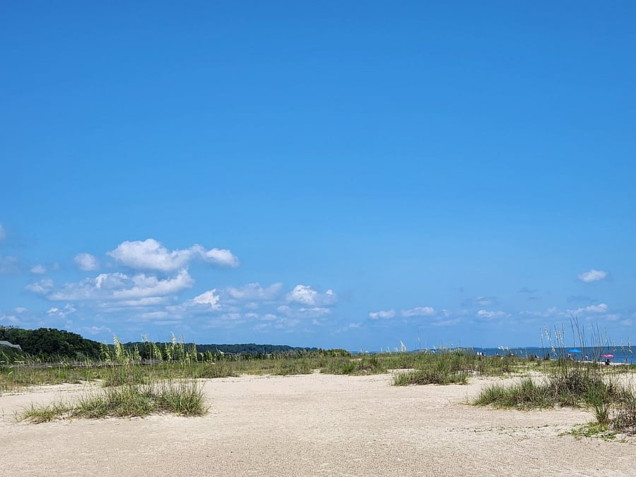 Sea Oats at Fish Haul Beach 1 mile away