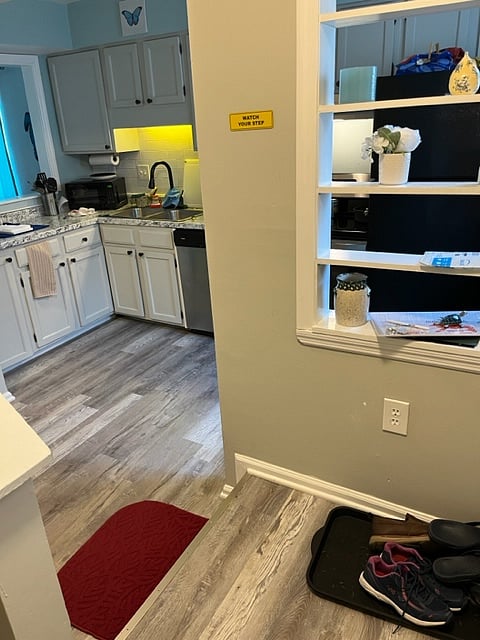 Entry way step down into first floor area