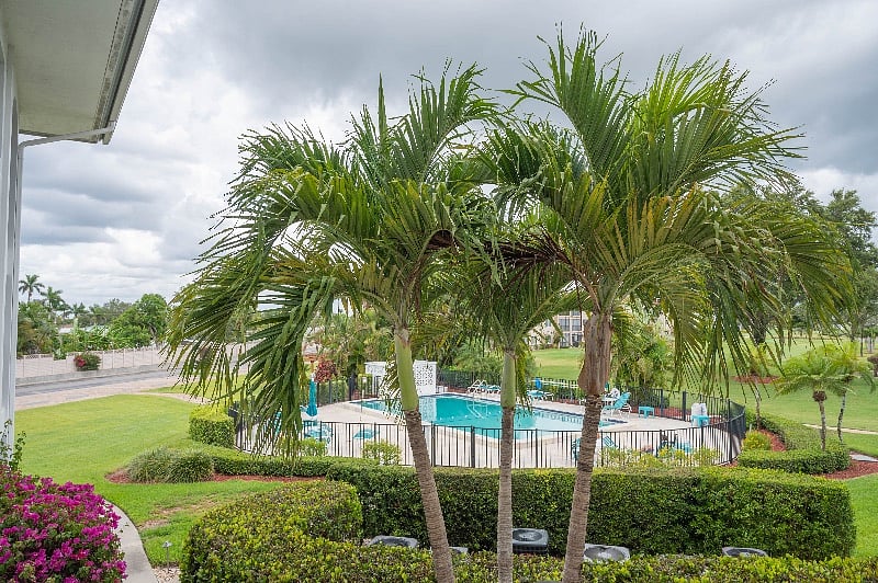 Furnished Finder property 539314_1 photo 24
