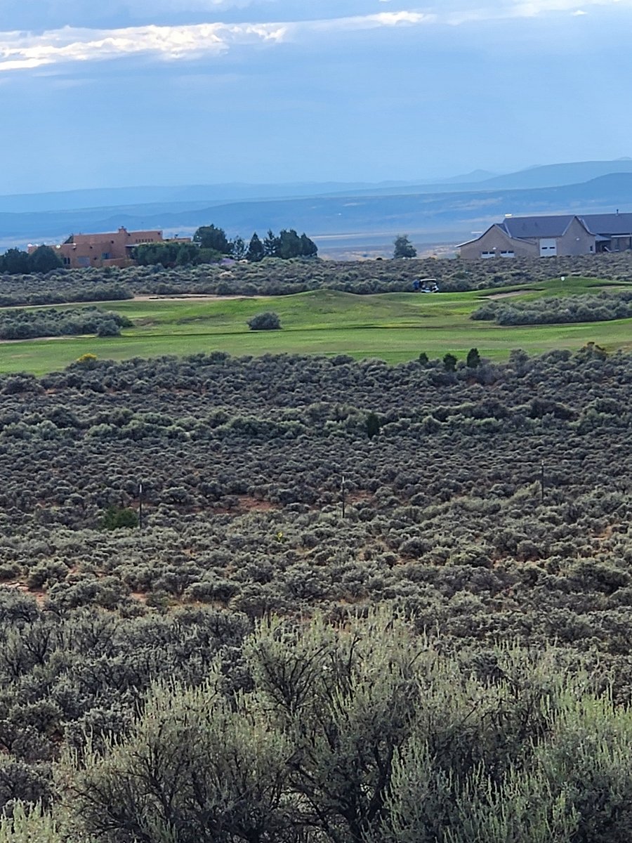 View of golf course from living area.