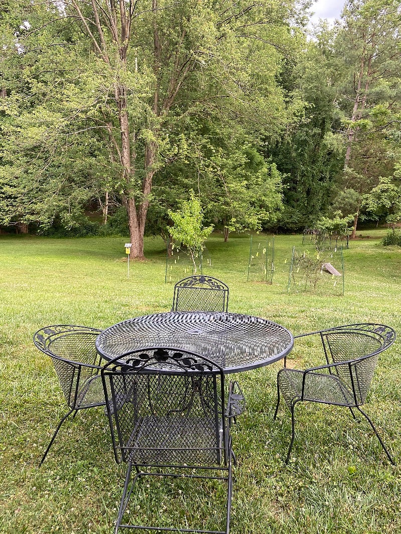 Furnished Finder property 539656_1 photo 13