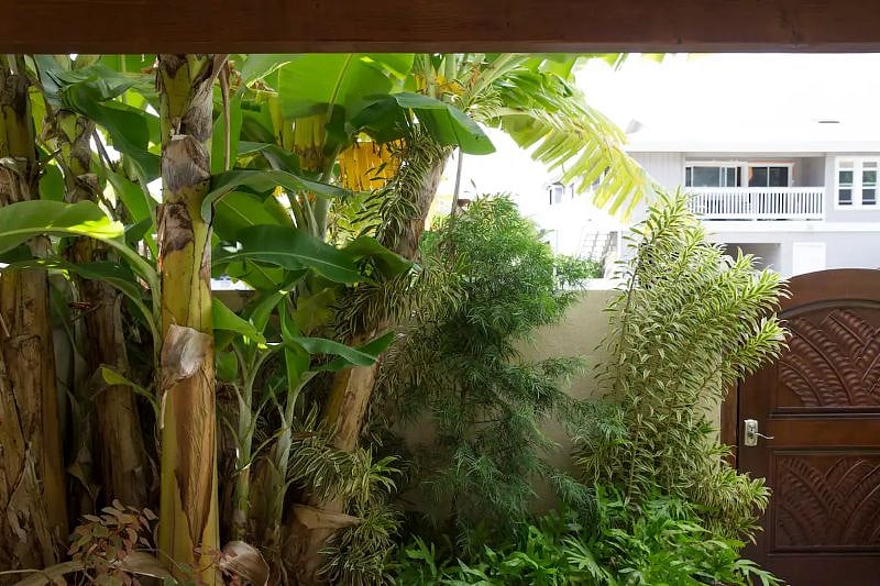 Furnished Finder property 539662_1 photo 4