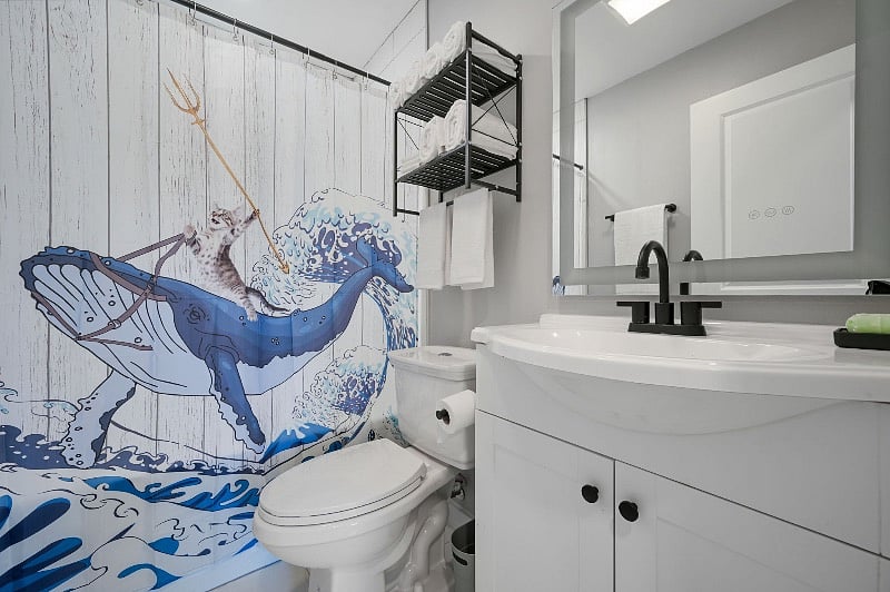 awesome shower curtain in second bathroom