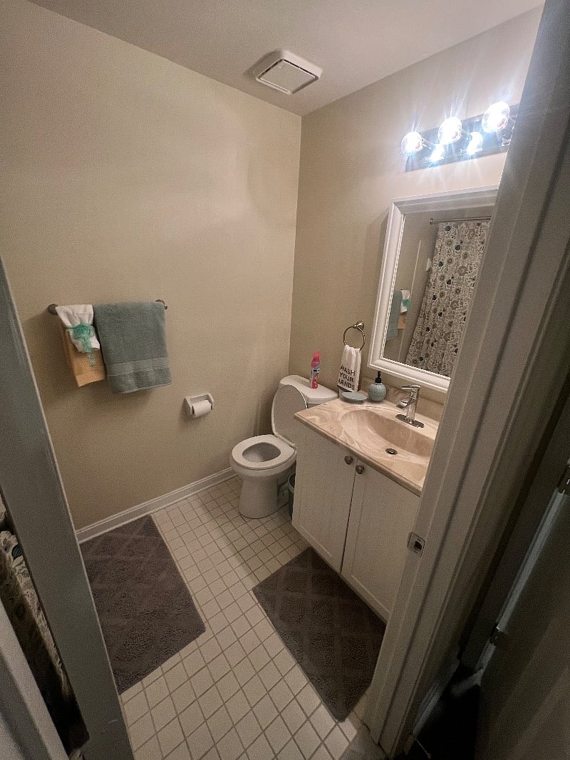 Master bathroom toilet and sink