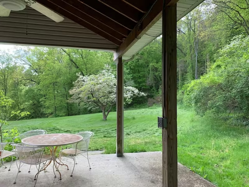 Patio with forest view, gas grill, light and fan for evening dining al fresco.