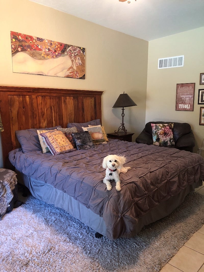 Furnished Finder property 540737_1 photo 3