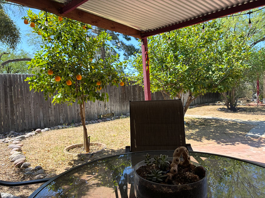 Furnished Finder property 540915_1 photo 26