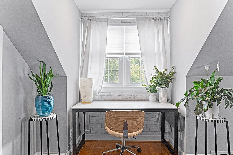 An office workspace with vibrant greenery and a beautiful window.
