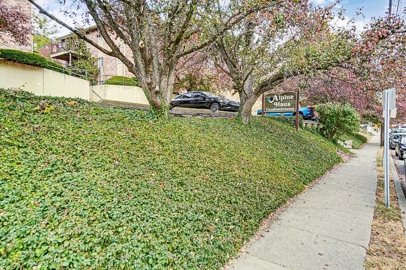 Furnished Finder property 541073_1 photo 20