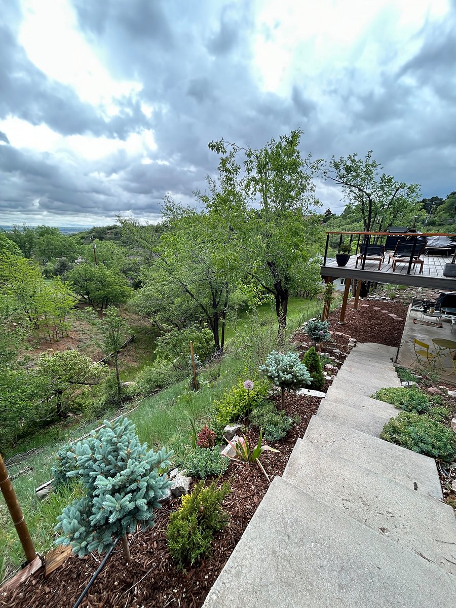 Furnished Finder property 541114_1 photo 10